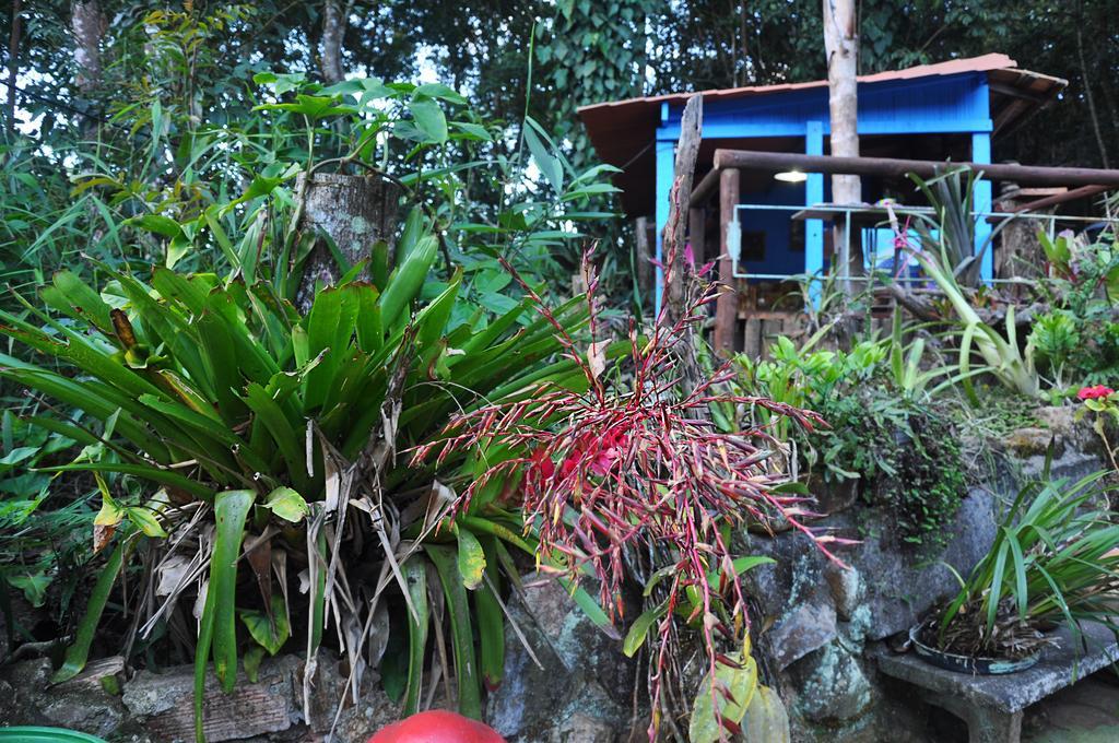 Pousada Ecologica Lua Bonita Do Nero Macacos  Exterior photo